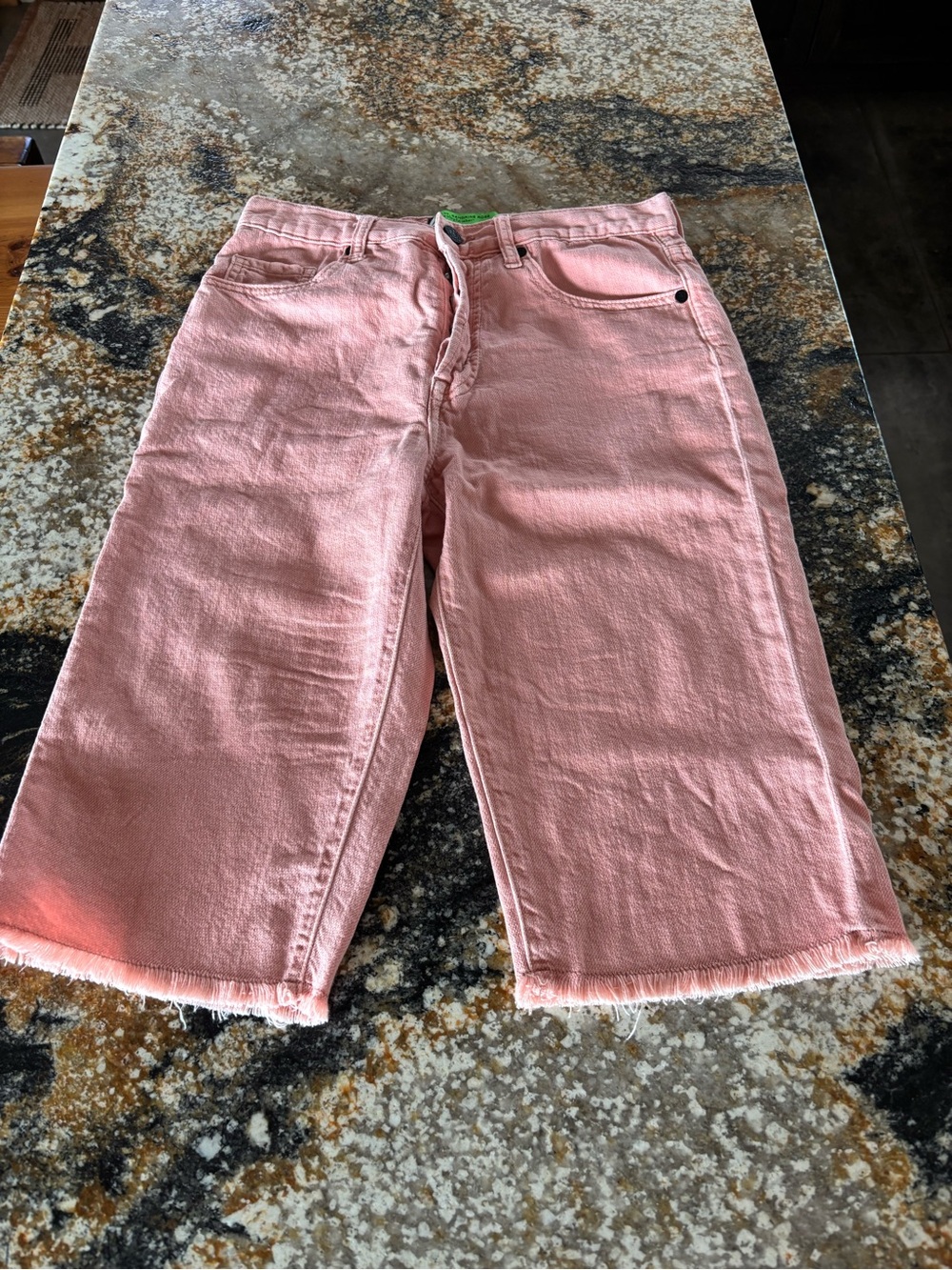 Free People Sandrine Rose Bermuda 24